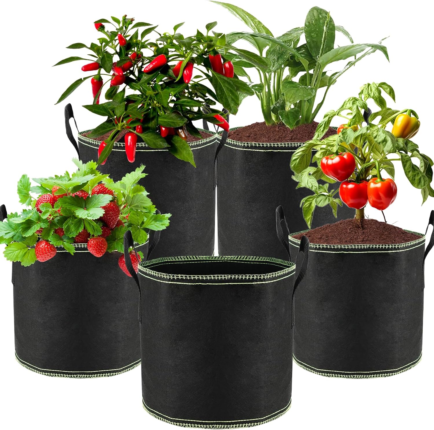 Zikenis set da 5 vasi in tessuto da 12 L per pomodori e coltivazione, con borsa riutilizzabile e manici