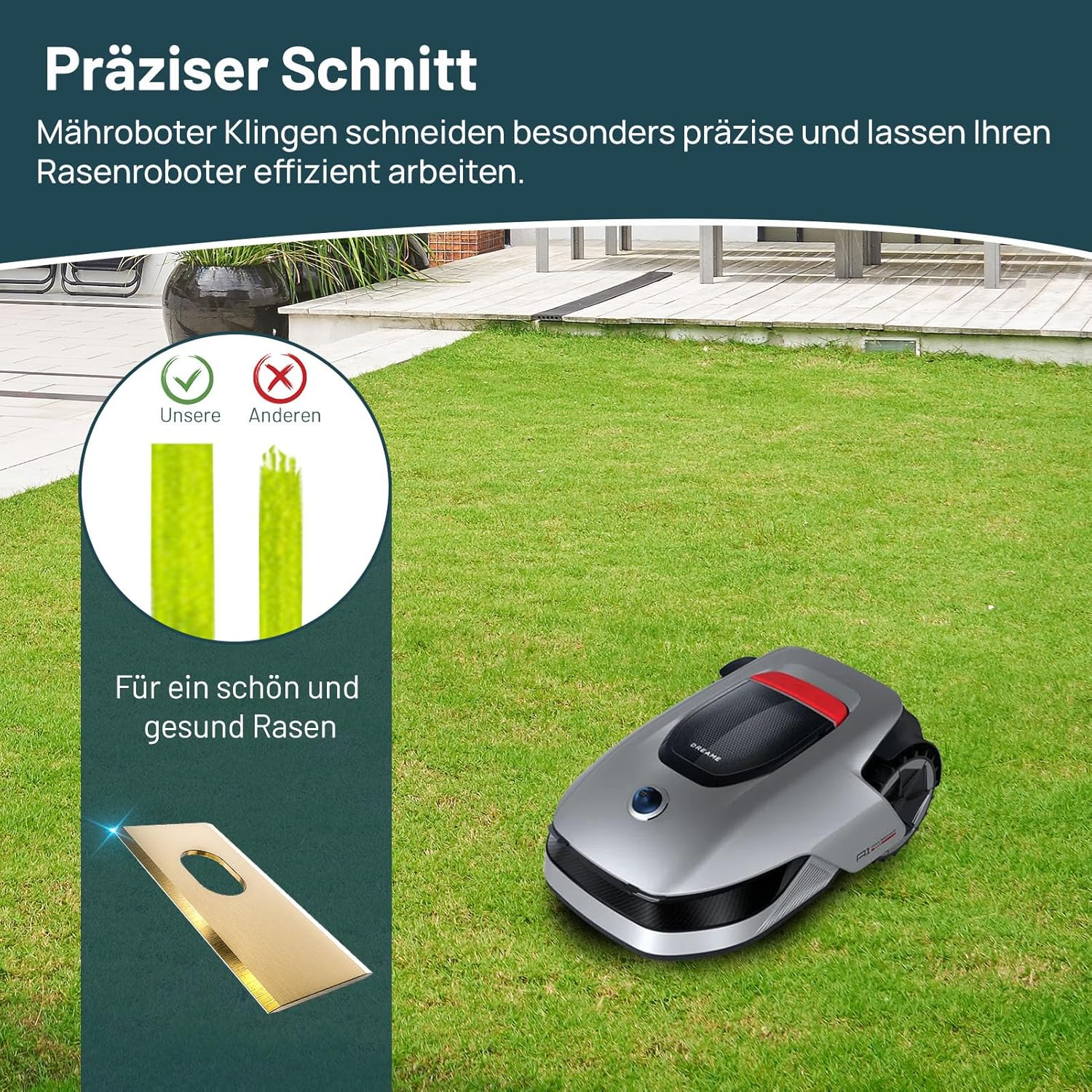 Detalle 2 de HAUSPROFI Titan Ersatzklingen 60% langlebiger