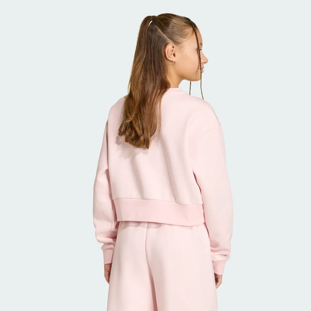 Detalle 2 de Sudadera de cuello redondo Boxy en rosa de Adidas
