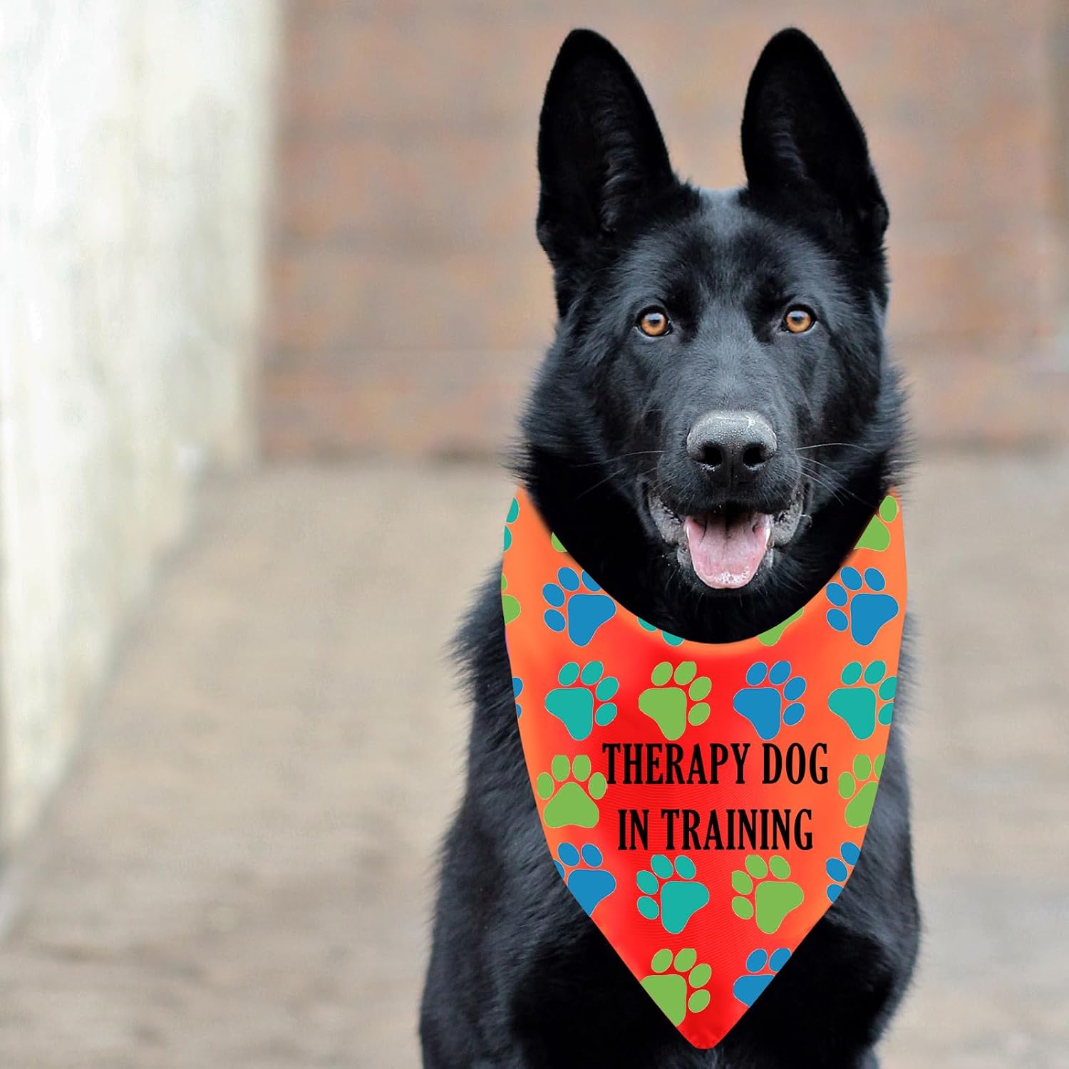 Thumbnail 5 de Therapy Dog Training Bandana, Polyester