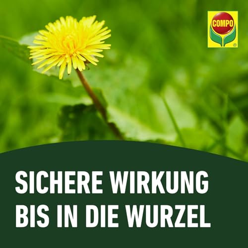 Thumbnail 6 de COMPO Rasenunkraut-Vernichter Banvel Quattro – Konzentrat 400 ml (400 m²)
