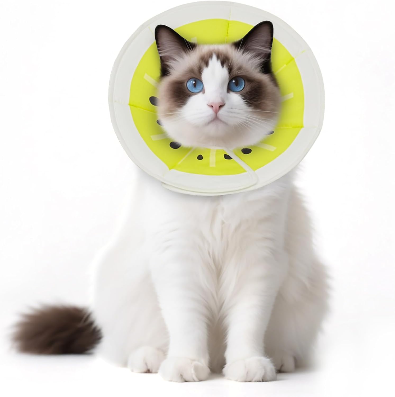 Thumbnail 3 de Supet weiche Fruit-Style Halskrause für Katzen & kleine Hunde – verstellbare Recovery-Cone nach OP