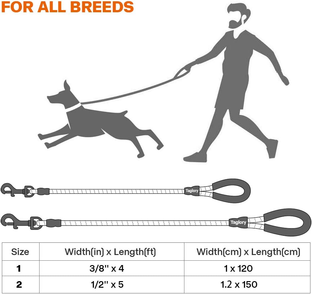 Thumbnail 6 de Taglory laisse pour chien en nylon tressé avec poignée rembourrée et fils réfléchissants – corde 1,5 m