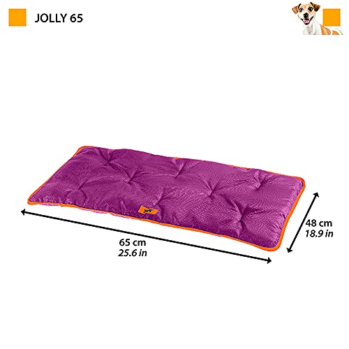 Detalle 2 de Ferplast Tapis Jollytech T65