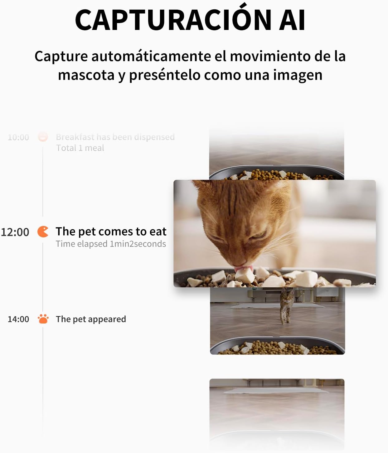 Thumbnail 2 de PETKIT Comedero Gato Automático con Cámara 5L