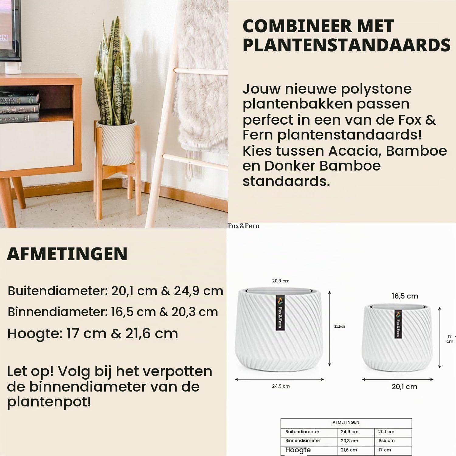 Thumbnail 3 de Fox & Fern PP-MUTI-L-SA plantpotten set van 2, polystone, mat wit
