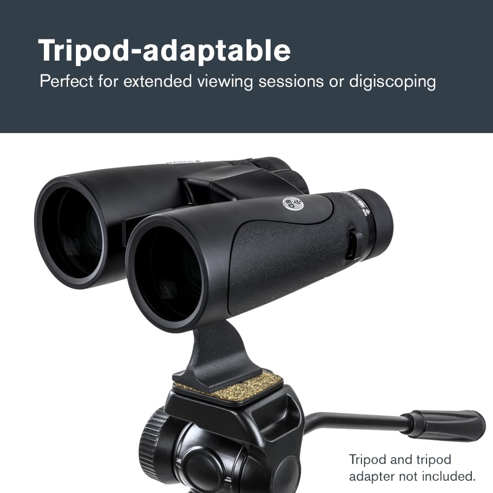 Thumbnail 5 de Celestron Nature DX ED 12x50 Binoculars