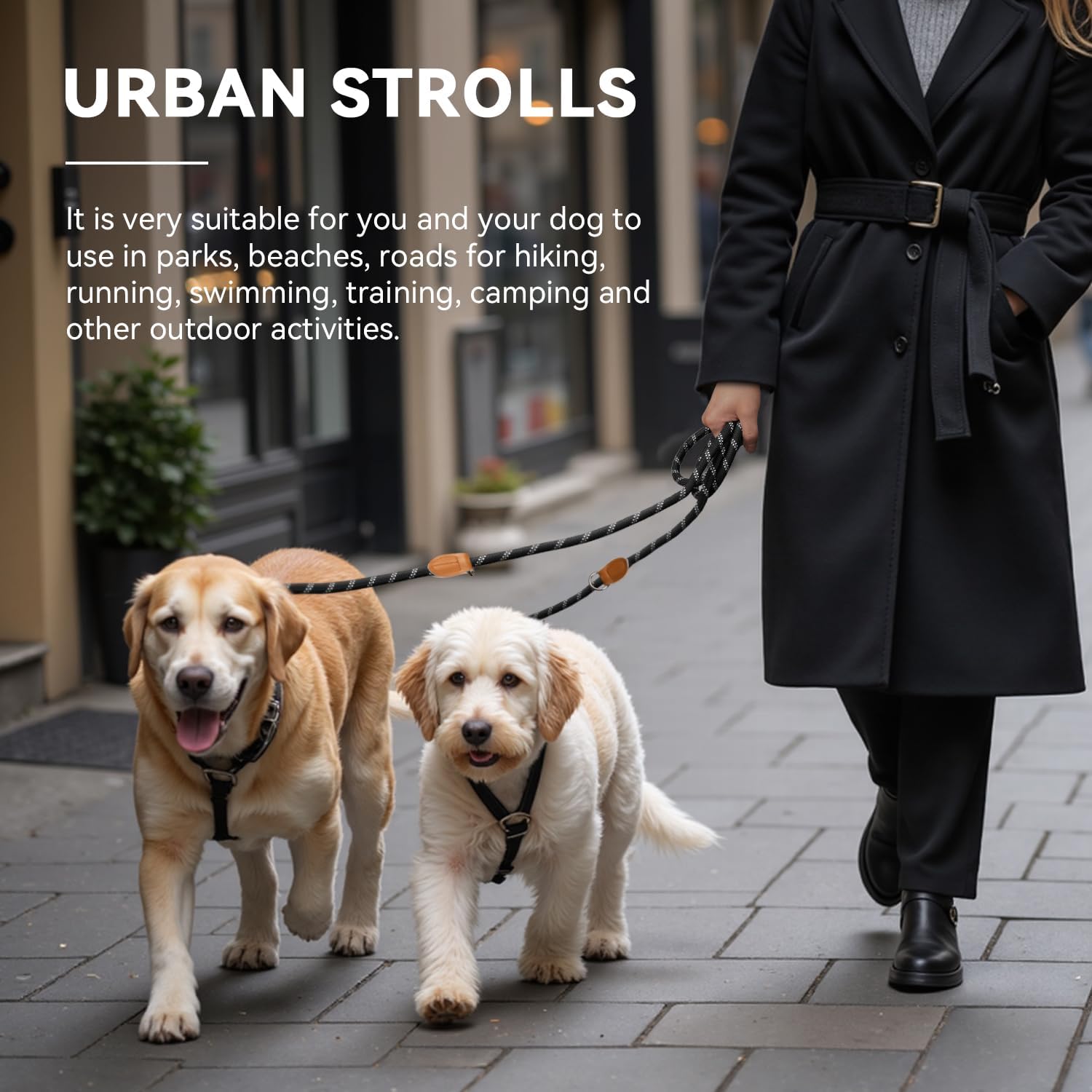 Thumbnail 1 de PETCOOZ Hundeleine 3 m verstellbar 🐕