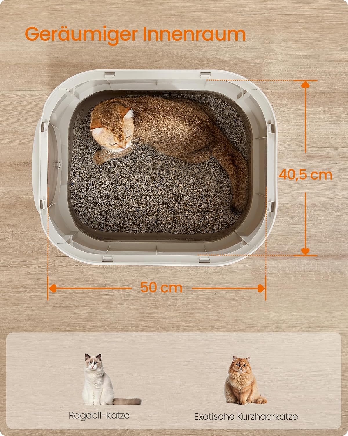 Detalle 2 de Feandrea PPT002G01 Katzentoilette 50×40,5×34,5 cm 🐱