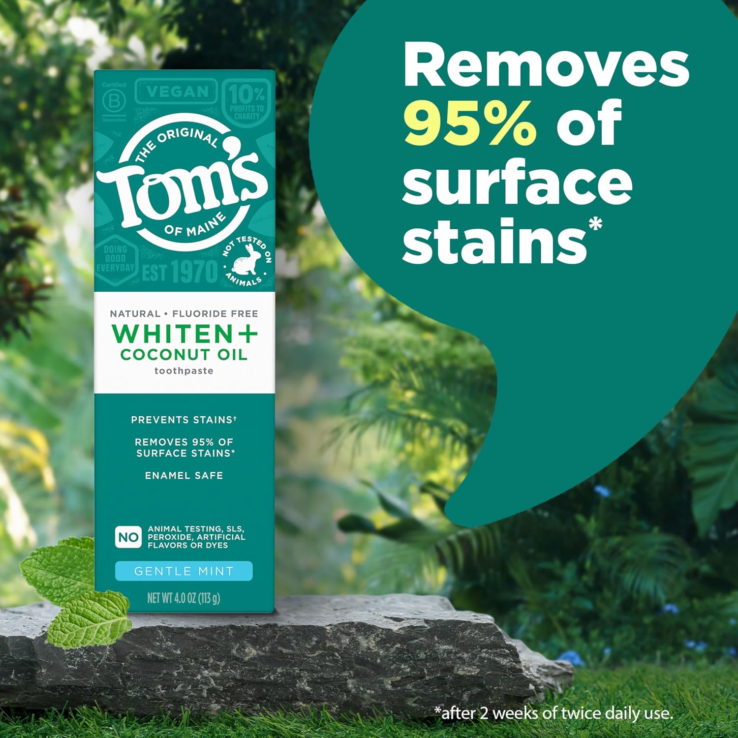 Detalle de Tom’s of Maine Whiten Plus Coconut Oil Fluoride-Free Whitening Toothpaste (Gentle Mint) – Pack of 3, 4.0 oz tubes