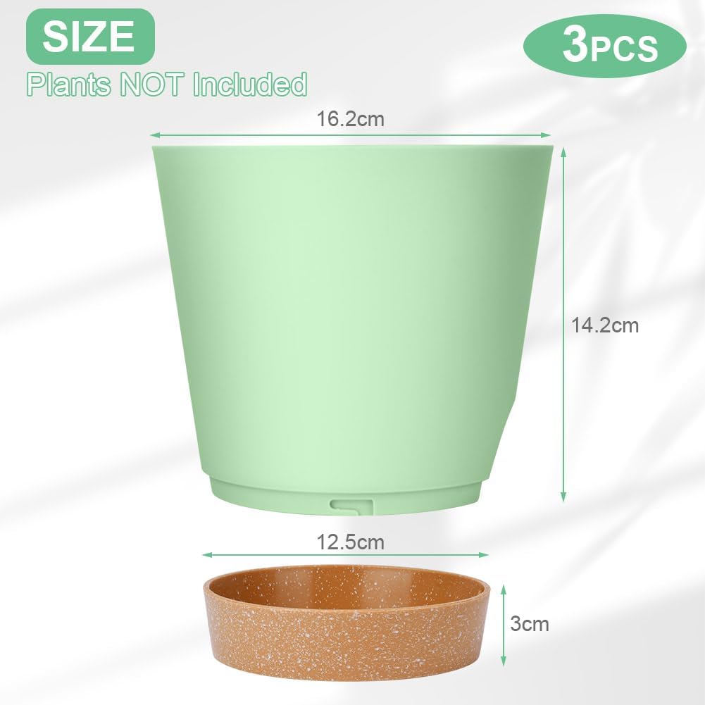 Detalle 2 de OFFCUP Vasi Autoirriganti 16,5 cm 6 pezzi
