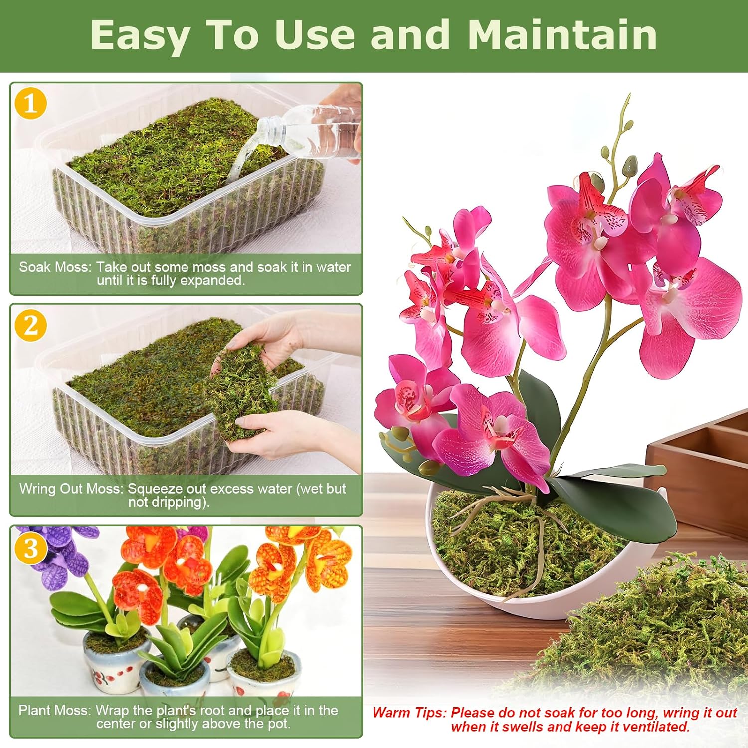 Detalle 2 de Legigo L-DE-Forest Moss-1.2kg Sphagnum Moss, Natural Long-Fiber Green