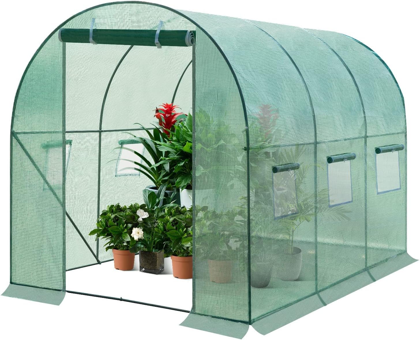 Detalle de WOLTU GWH00902 foliekas 300 x 200 x 200 cm met oproldeur en 6 ramen