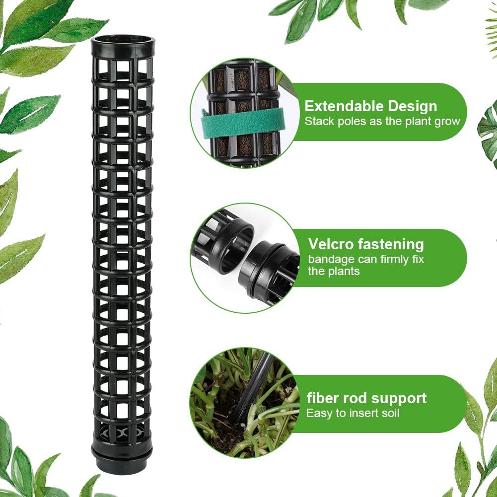 Detalle de OFFCUP Moosstab Pflanzstab – 4er-Set als Monstera Rankhilfe mit Etiketten & Klettverschluss