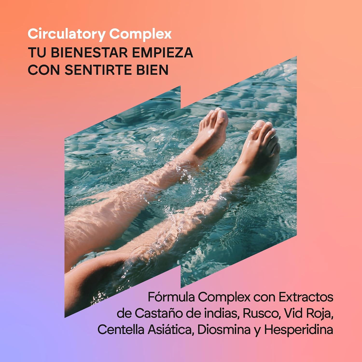 Detalle 2 de Circulación Complex 1330mg Nutralie 60 cápsulas