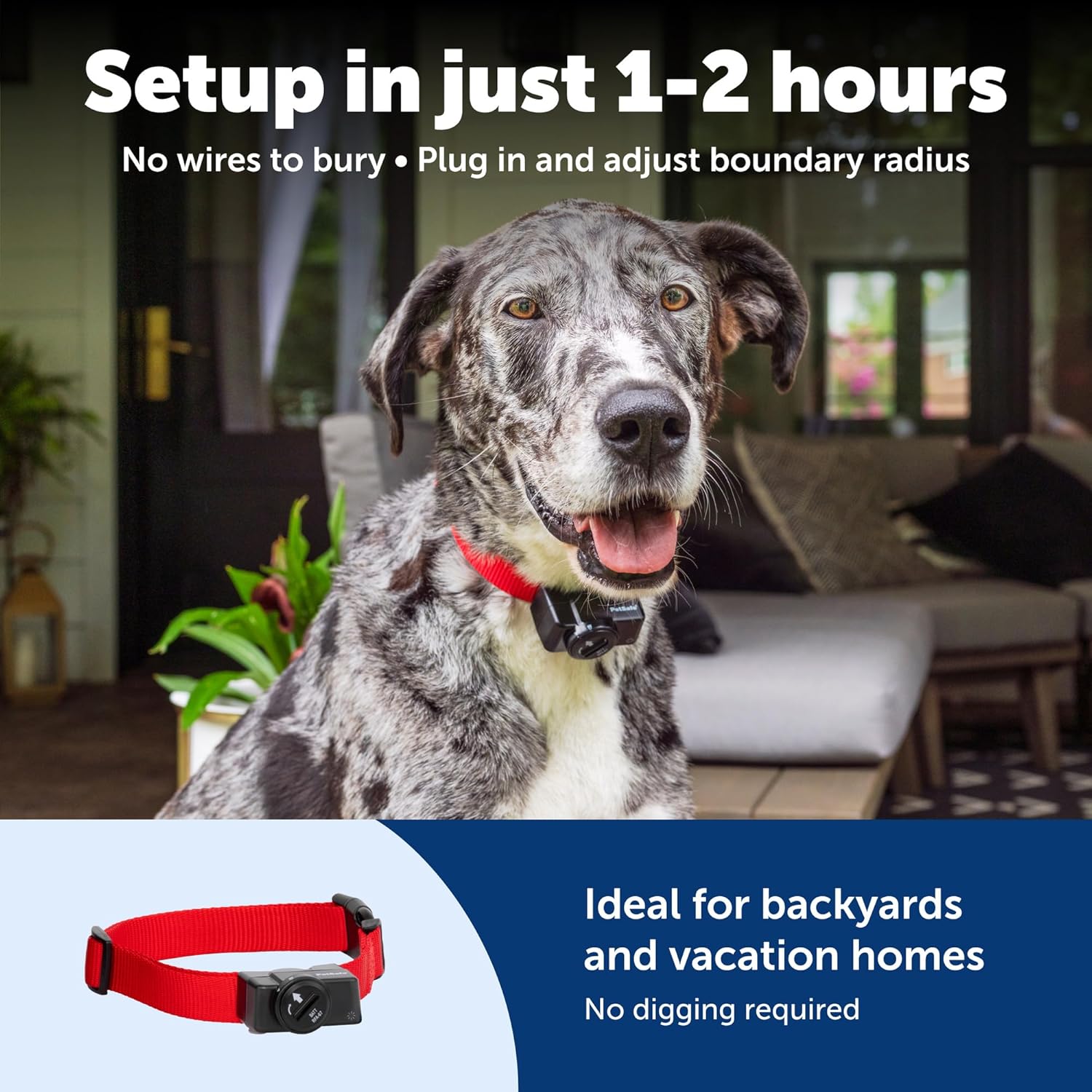 Thumbnail 5 de PetSafe Wireless Containment System for Dogs