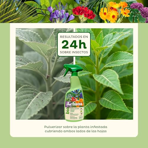 Thumbnail 5 de Ikebana Triple Acción BIO 24h 🌱