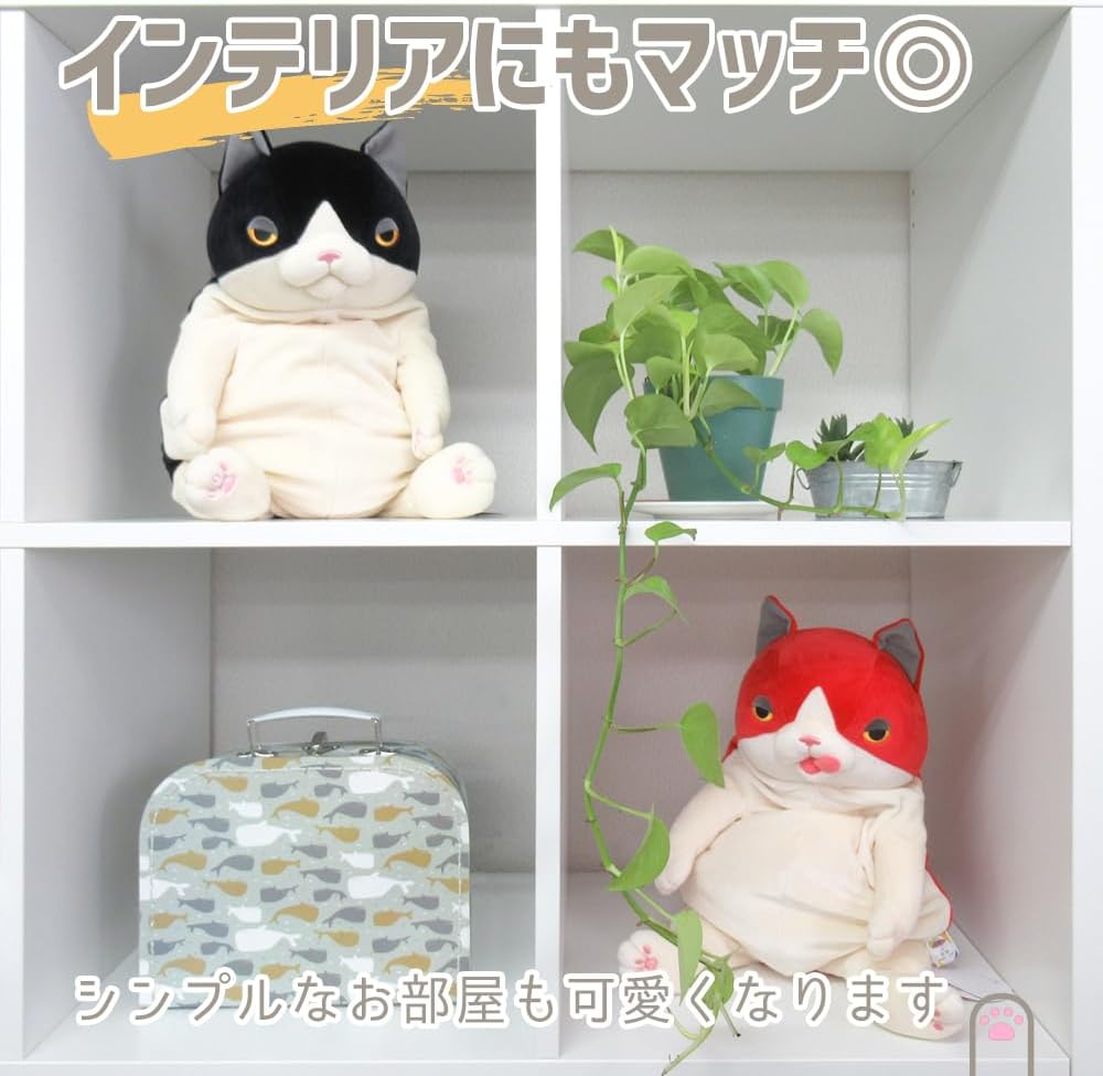Detalle 1 de シナダグローバル もちシリーズ もちねこ MONE-0350HG ハチワレ グレー L ぬいぐるみ