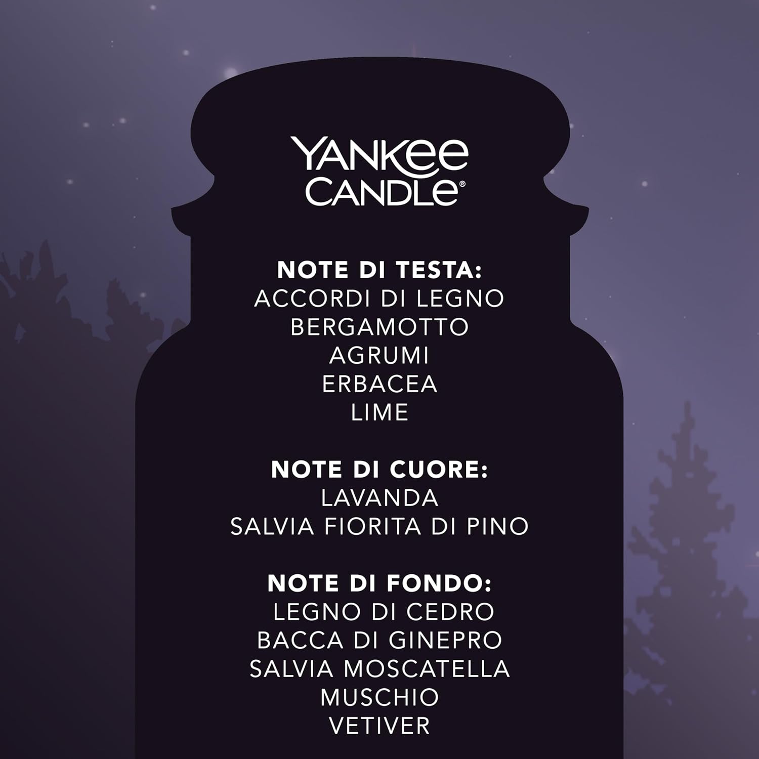 Thumbnail 3 de Candela profumata in giara grande Notte di Mezza Estate di Yankee Candle