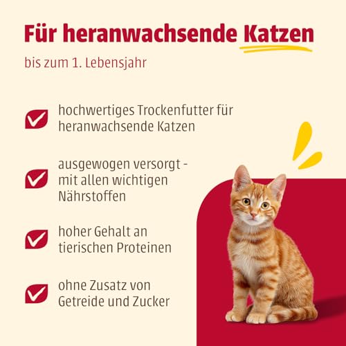 Detalle de animonda Carny Kitten Huhn (1,75 kg) – Trockenfutter für wachsende Katzenkätzchen ohne Getreide