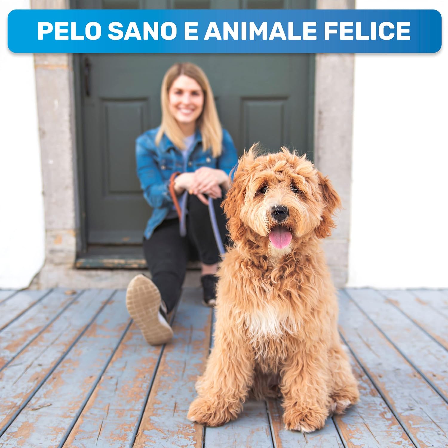 Thumbnail 5 de BluePet Spazzola M-L per cani e gatti
