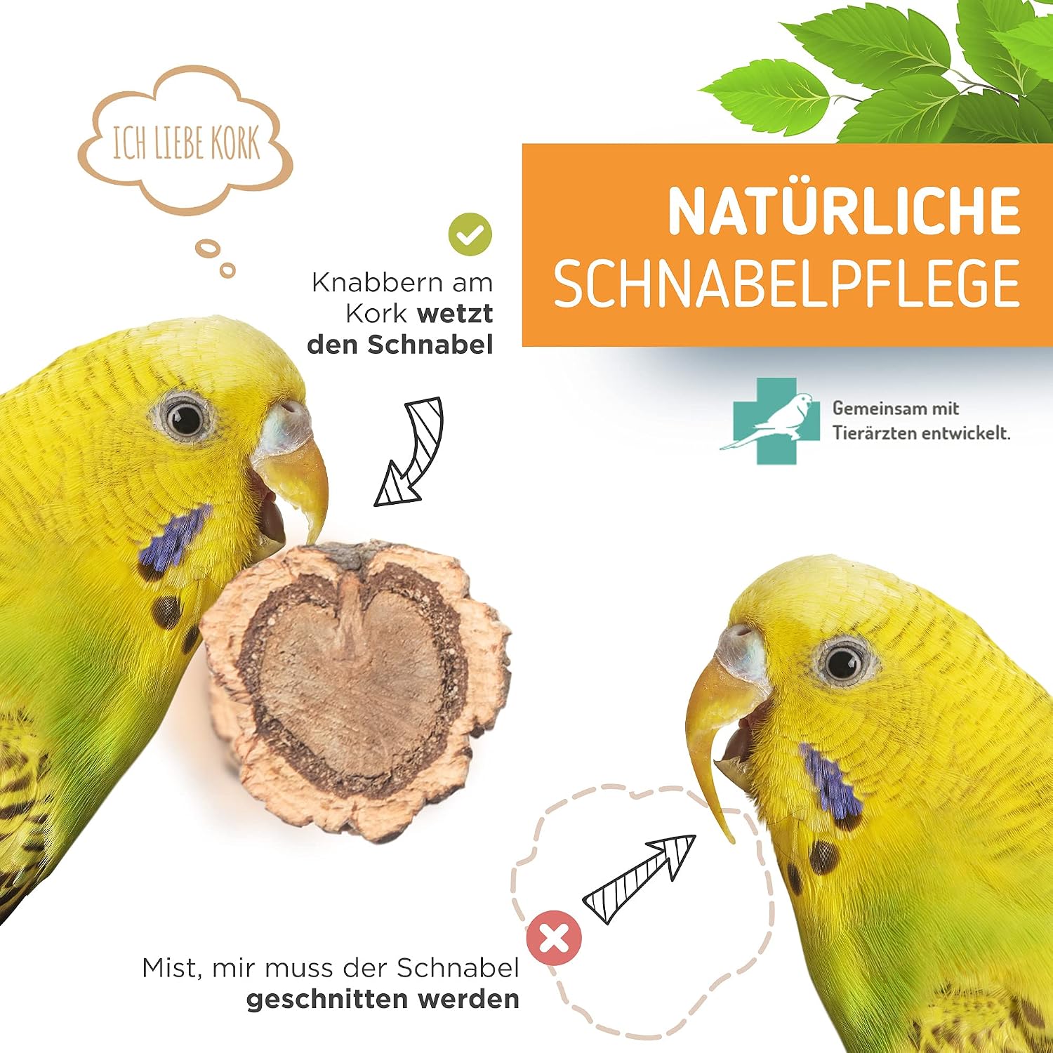 Detalle 2 de Vogelgaleria Leckere Korksitzstange – Naturkork-Sitzstange für Wellensittich & Nymphensittich (20 cm)