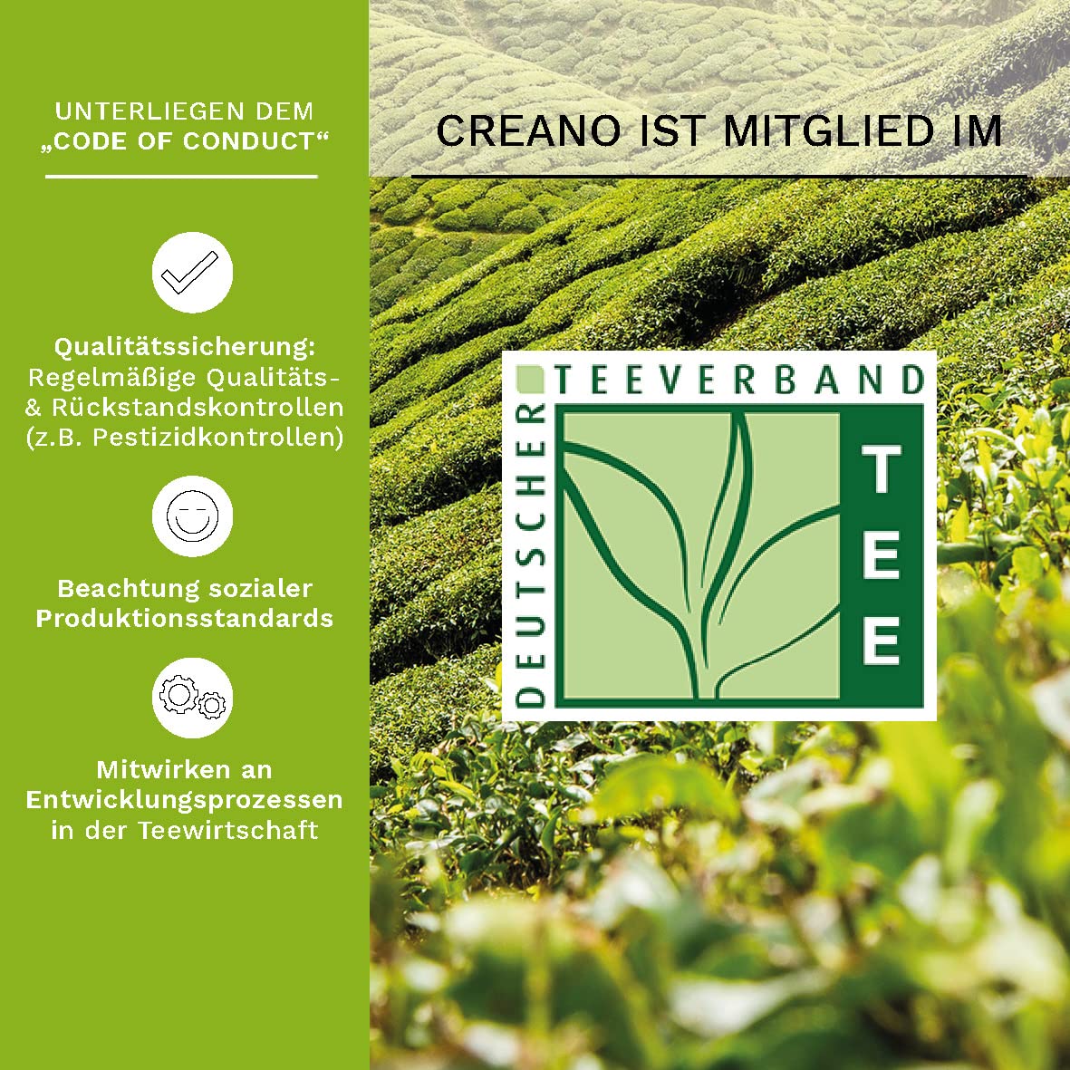 Detalle 2 de Creano Teeblumen Geschenkset 12er Pack