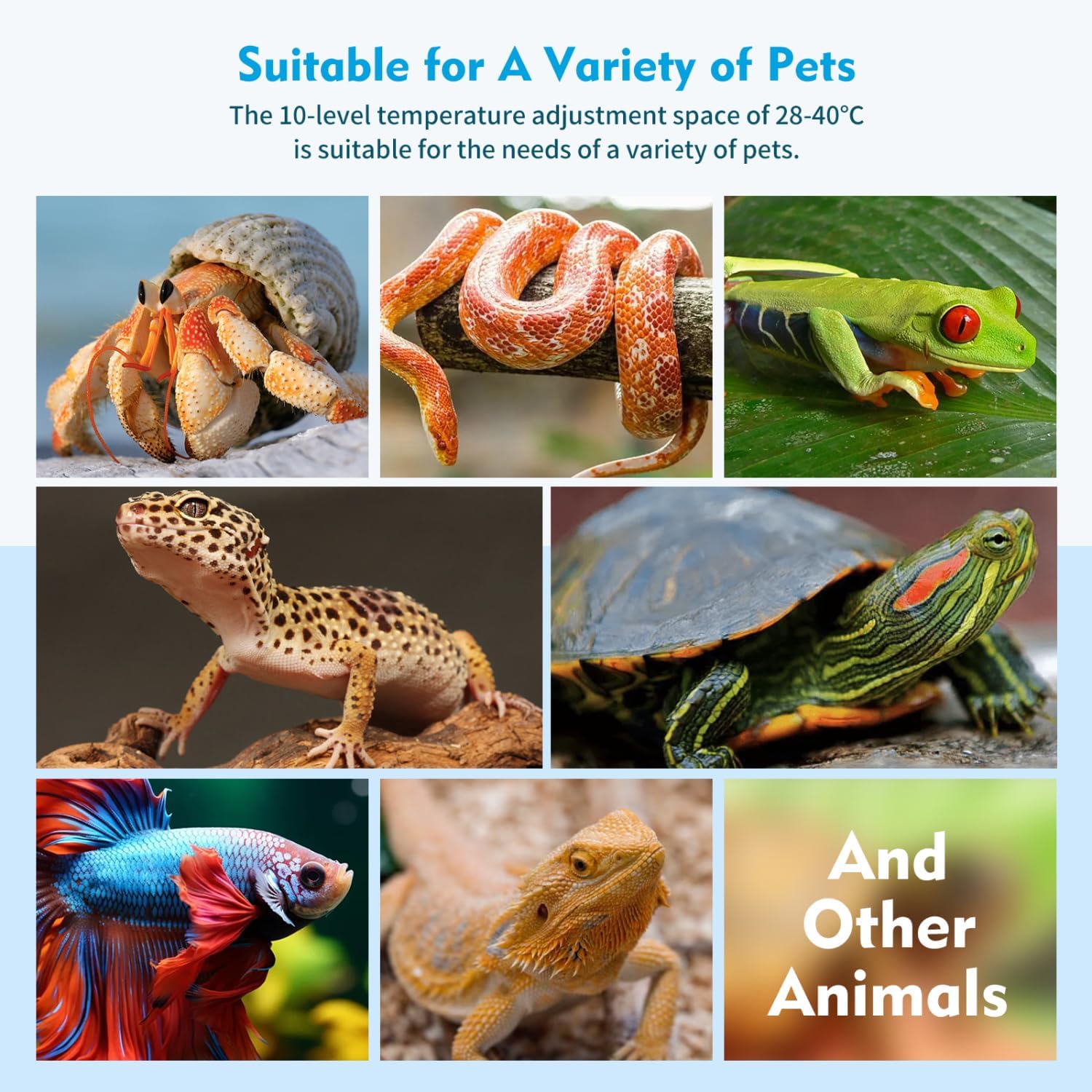 Thumbnail 6 de Nobleza tappetino riscaldante per rettili con termostato 10 livelli, 7W (28x15 cm)