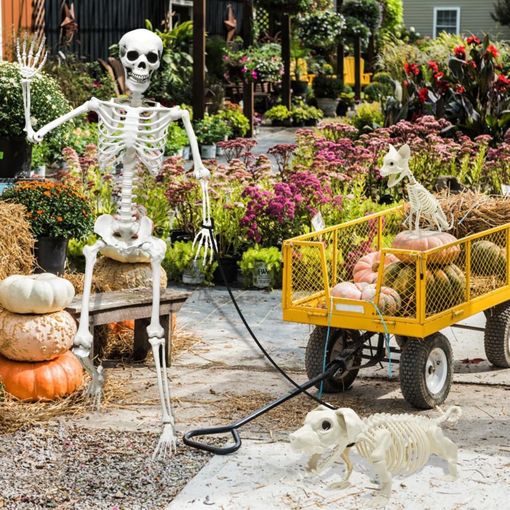 Thumbnail 6 de CAMIRUS LR-WSJ-GJ 5.4 ft Posable Halloween Skeleton with Dog and Cat