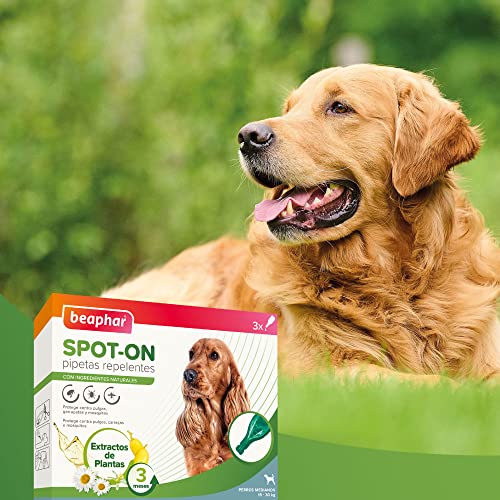Thumbnail 6 de Beaphar Pipetas repelentes para perros medianos 2 ml