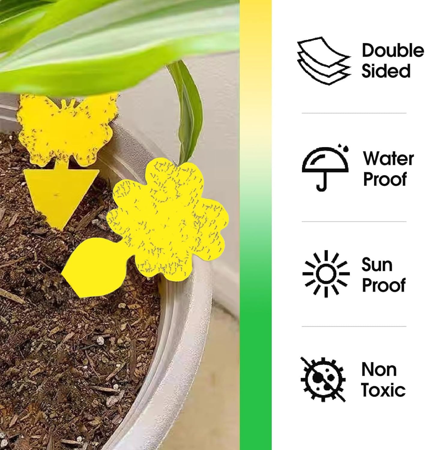 Thumbnail 3 de Fruit Fly Traps: Double-Sided Fungus Gnat Sticky Catchers for Indoor and Outdoor Use (64 Pcs)