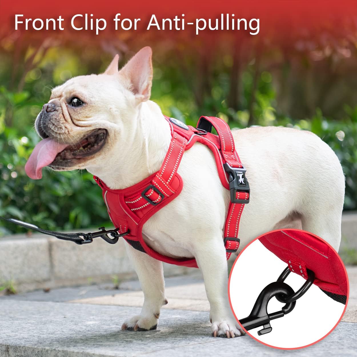 Thumbnail 3 de PoyPet No Pull Dog Harness (Red Matching Trim) – Reflective, Adjustable M, No-Choke with Front & Back Leash Attachments