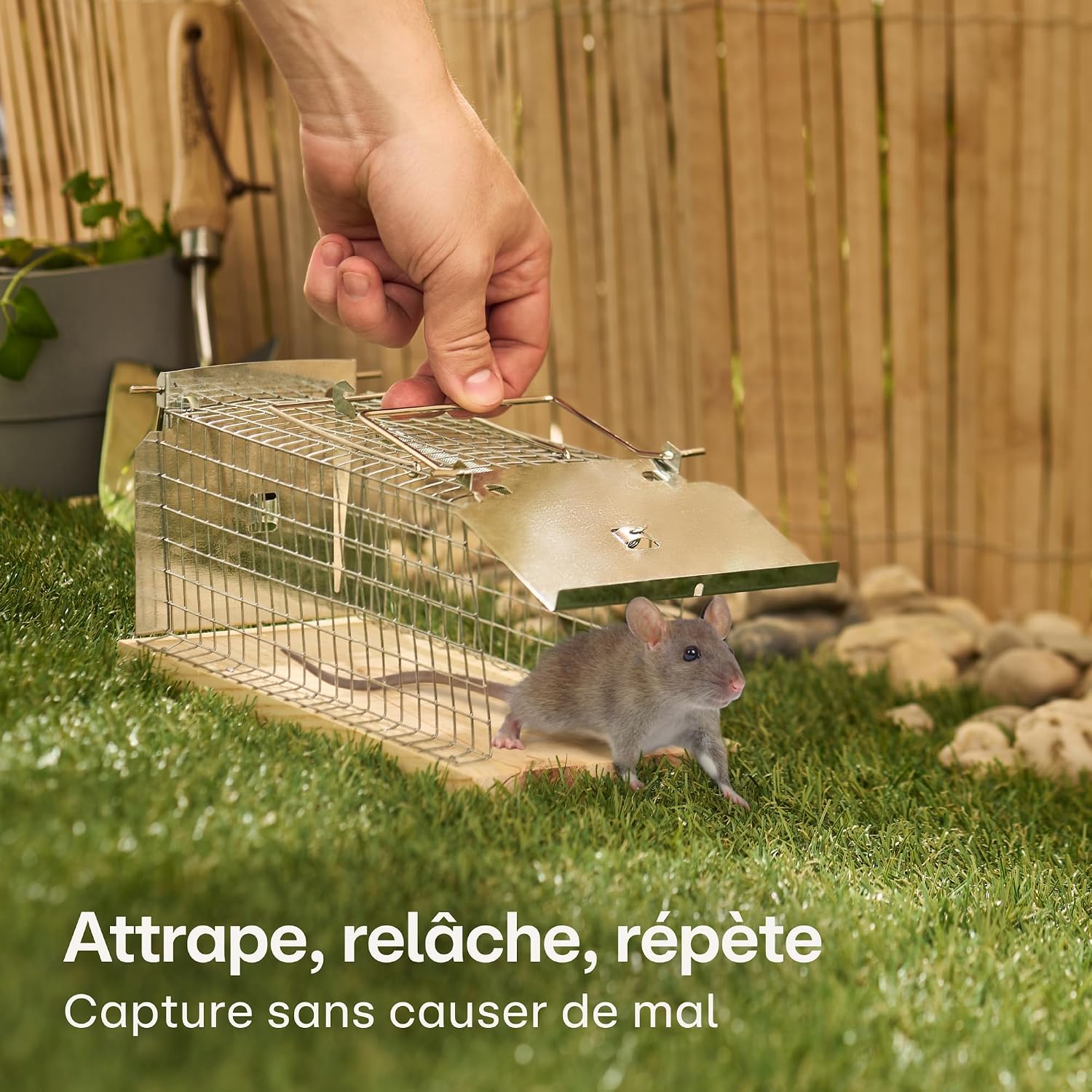 Detalle 2 de Praknu Cage piège à rat vivant 30 cm
