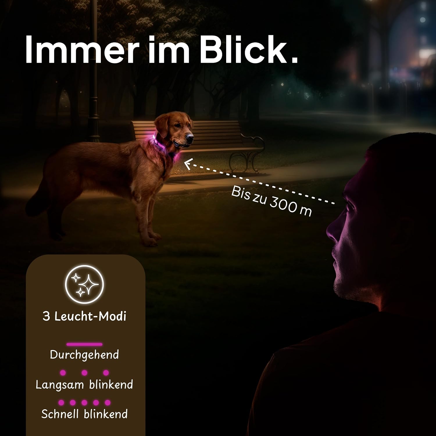 Detalle 2 de Tierhood Leuchthalsband Größe S