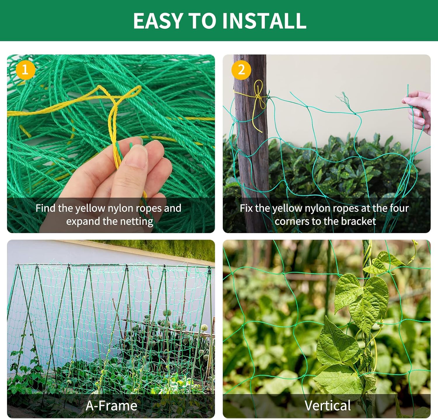 Thumbnail 3 de KINGLAKE pea and bean netting (3.6x1.8m) green garden climbing plant trellis net
