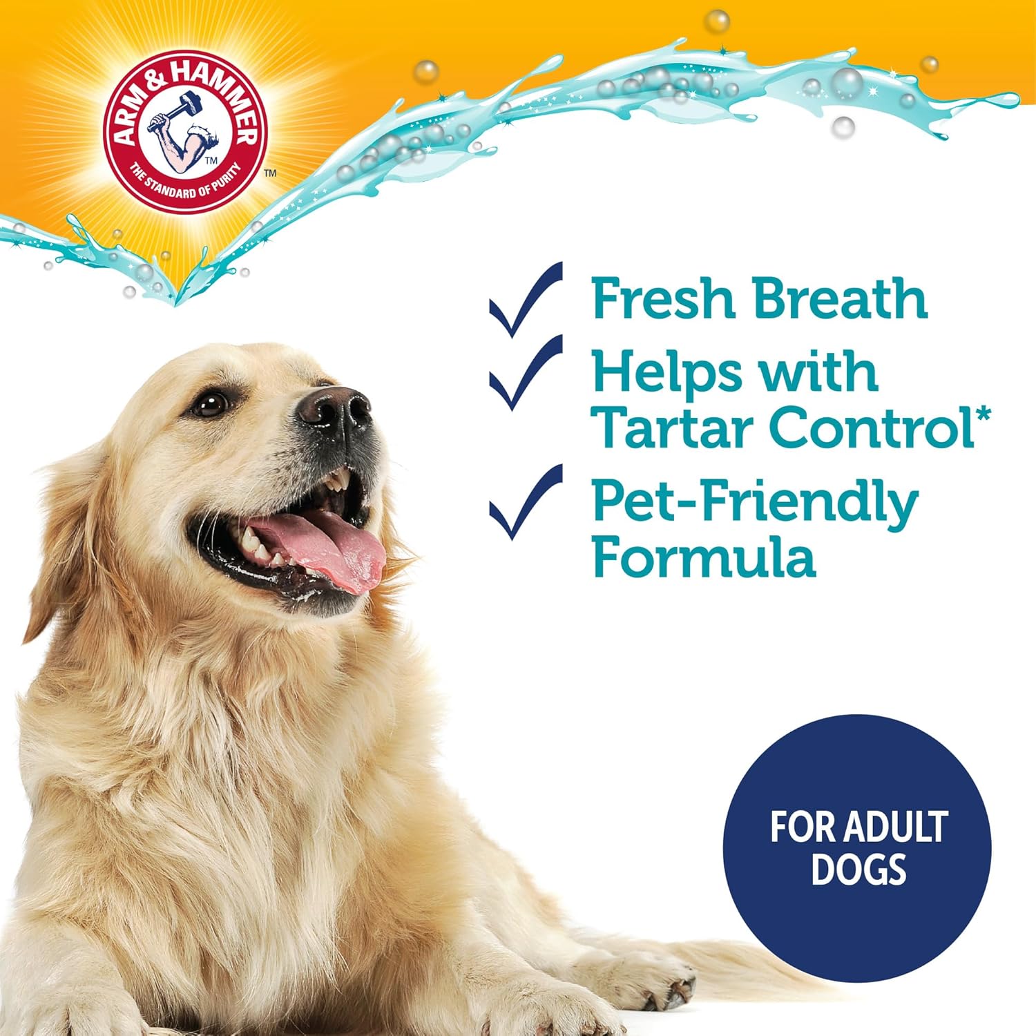 Detalle 1 de ARM & HAMMER コンプリートケア 酵素犬用歯磨き粉 チキン風味・重曹・カルシウム配合 6オンス