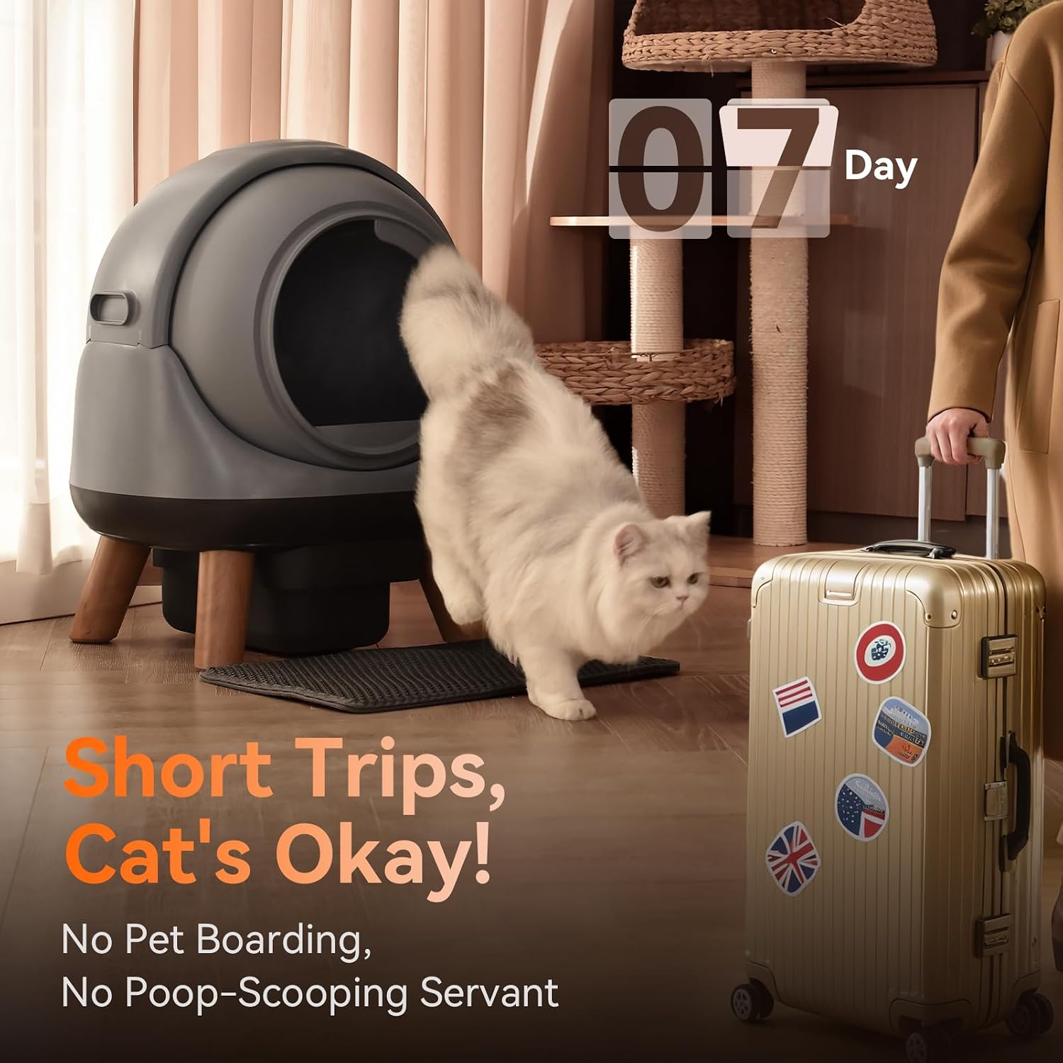 Detalle de Self-Cleaning Litter Box G1