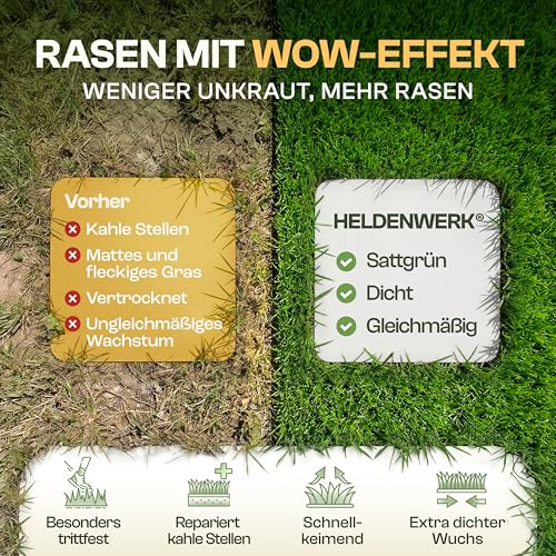 Detalle de HELGENWERK Rasensamen schnellkeimend Sommer 0,5kg – ideal für Neuanlage oder Nachsaat