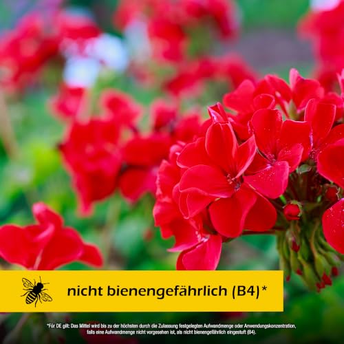Thumbnail 7 de PROTECT GARDEN Lizetan Trauermückenfrei, 30 ml Konzentrat mit Neemöl