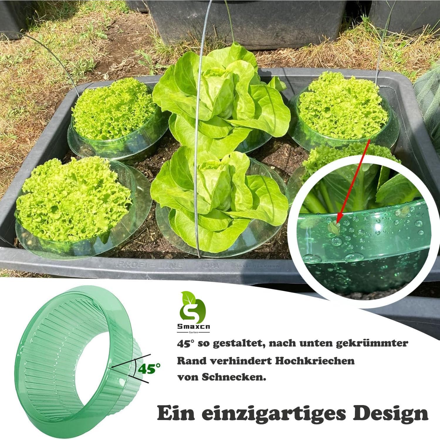 Thumbnail 2 de Smaxcn Schneckenschutzring – 30 Stück für Salat & Kohl, langlebig, chemiefrei