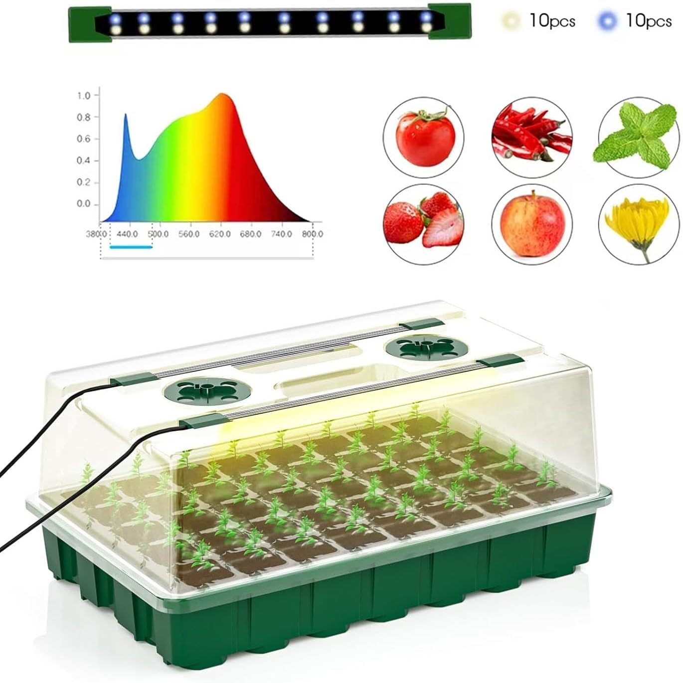 Detalle 1 de KYUQY sm40leds LED Grow Light, 40 LEDs, four intensity levels and timer