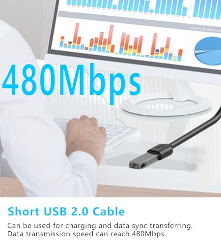 Detalle de LANMINGLEL Cavo di prolunga USB 2.0 90° maschio–femmina, 0,3 m, 2 pezzi (sinistra e destra)