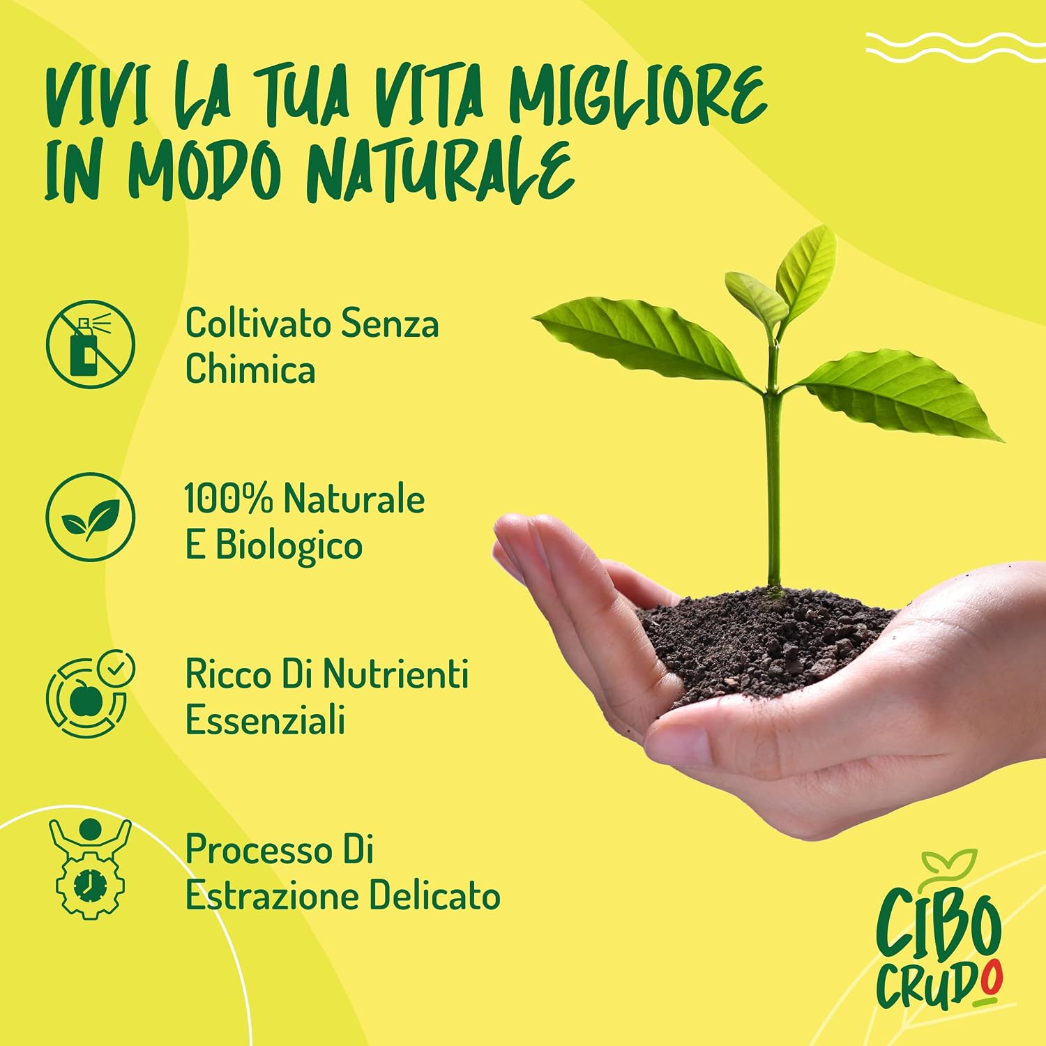 Thumbnail 6 de Olio di Canapa Alimentare e Biologico - 250ml, spremuto a freddo