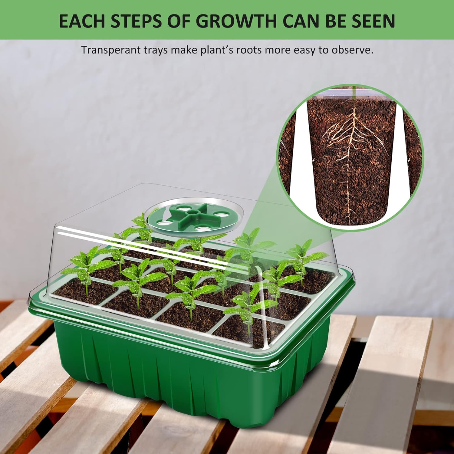 Thumbnail 6 de YAUNGEL Seed Trays 72‑cell, 6 pack 🌱