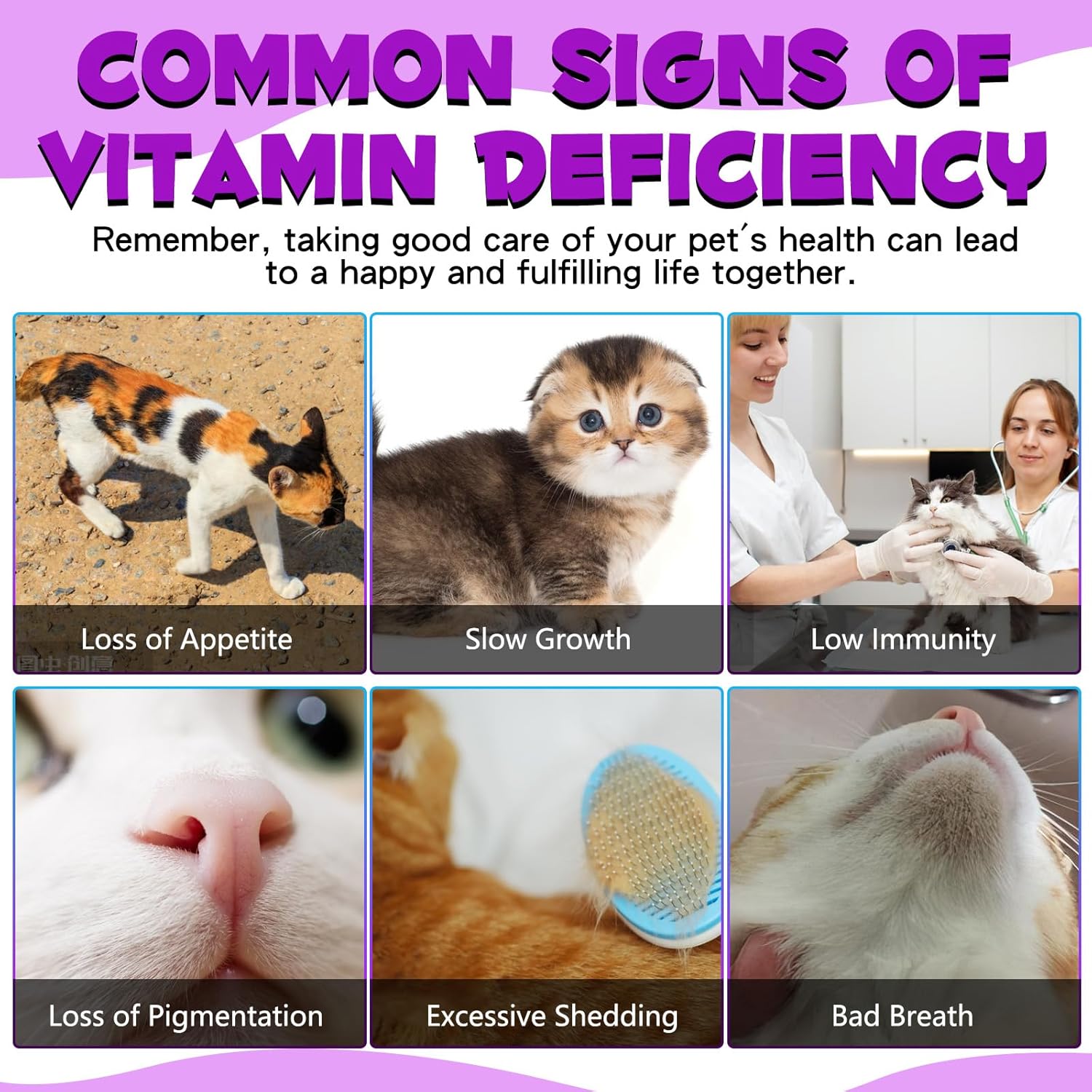 Thumbnail 4 de Katzen Multivitamin 15‑in‑1 Flüssigvitamin