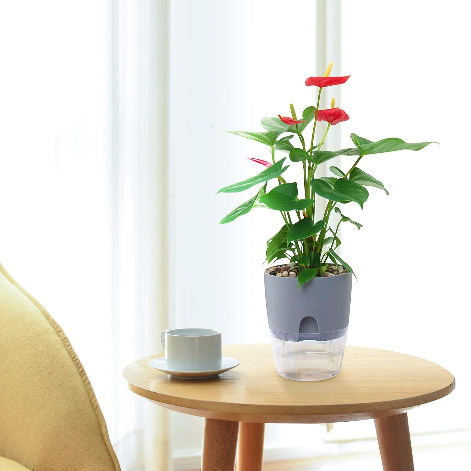 Detalle 2 de Smanettew Self-Watering Planters, 3-Pack 6-Inch White Pots with Reservoir