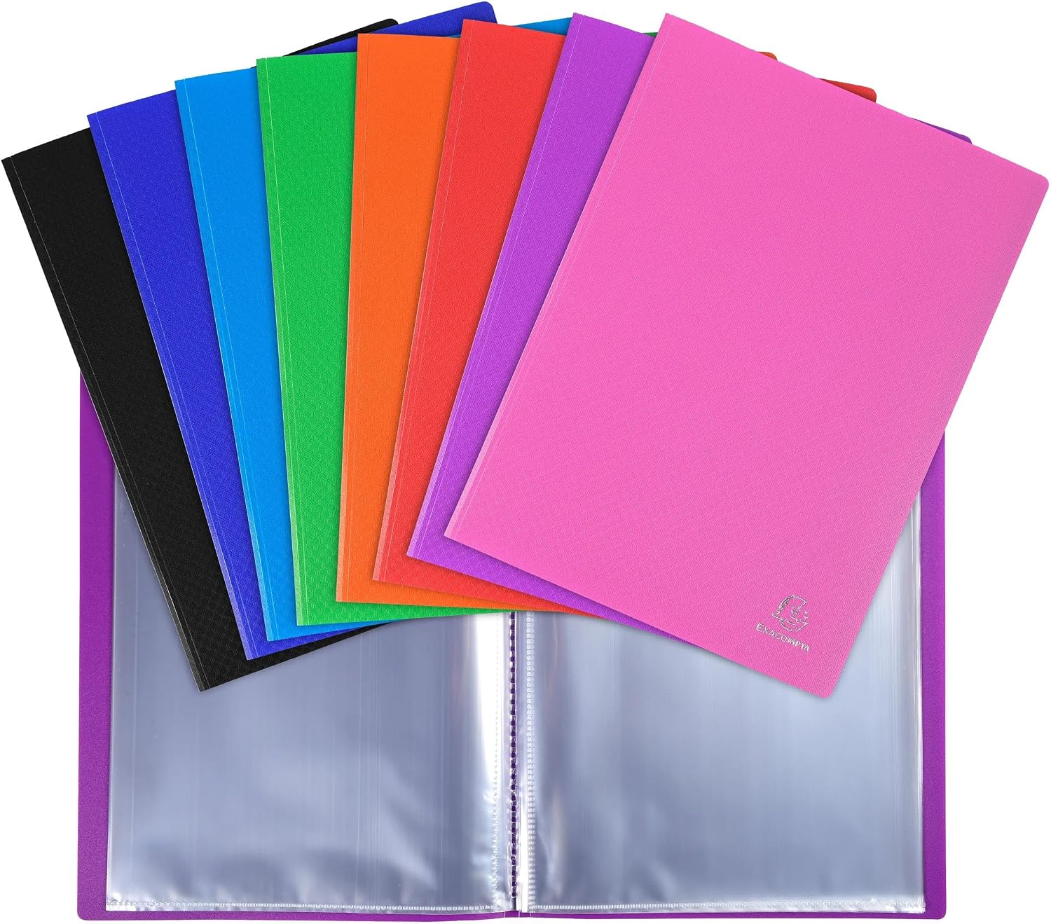 Detalle de Exacompta 8840E – Protège-documents OPAK 40 pochettes, 80 vues, format A4