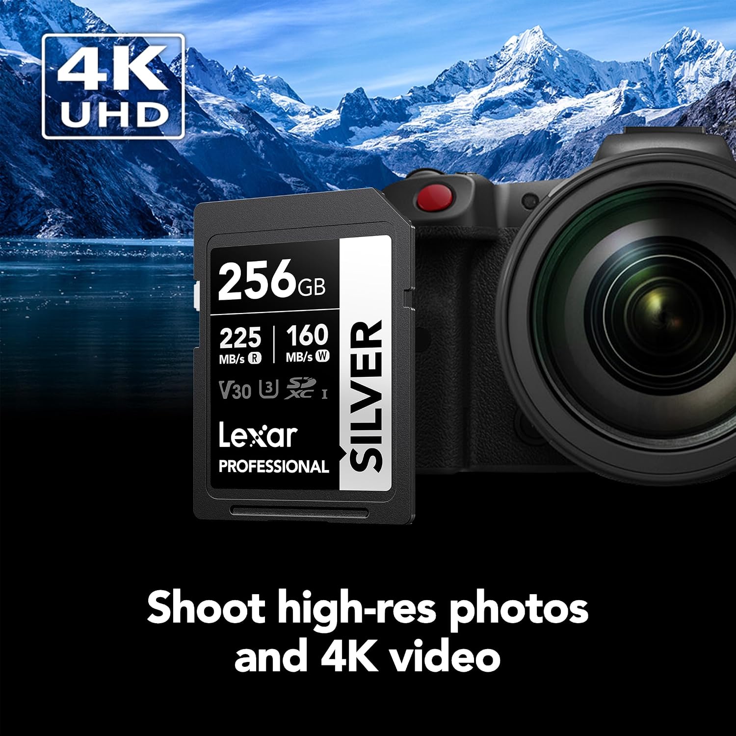 Detalle 2 de Lexar SD Memory Card 256GB