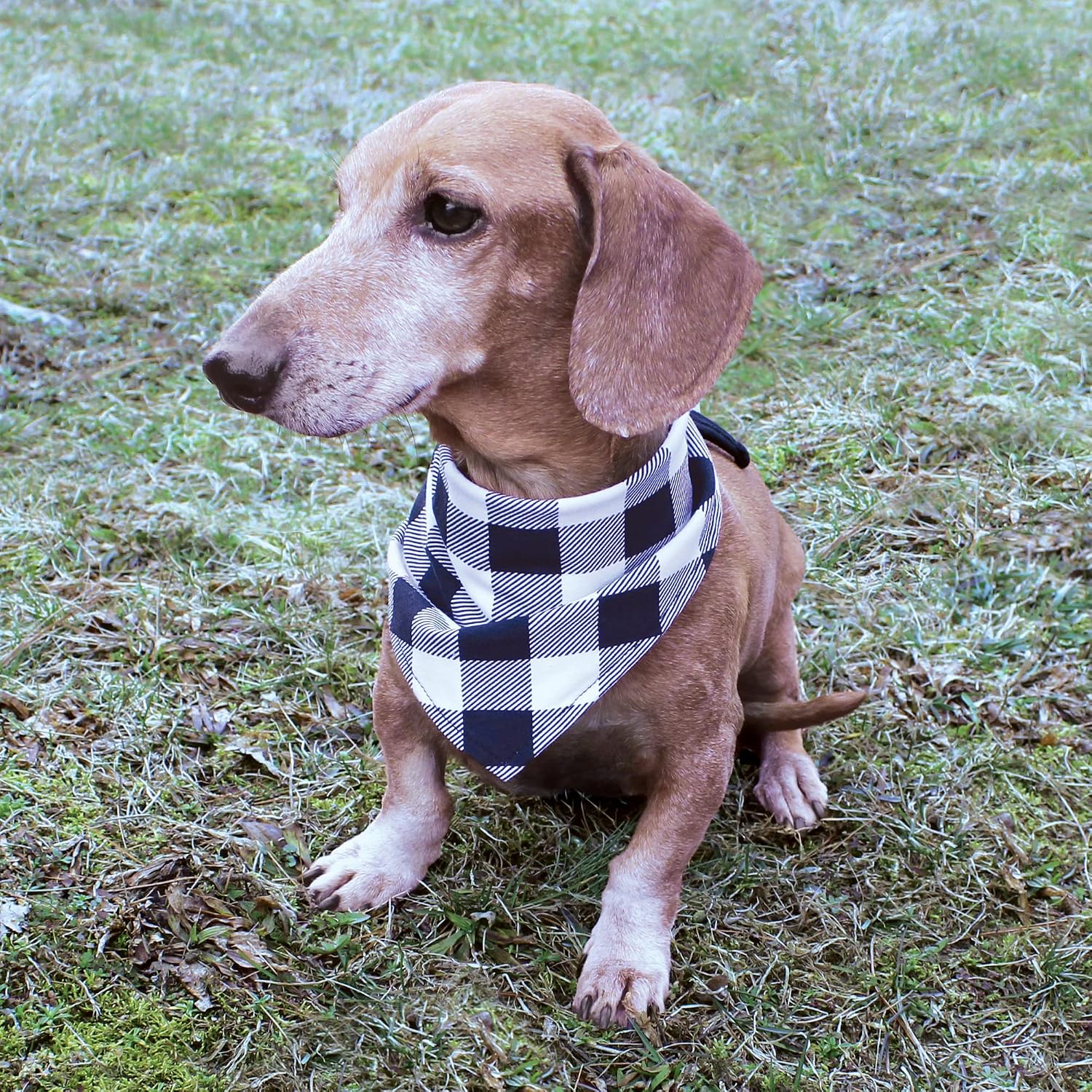 Detalle 2 de Luvable Friends Dog Reversible Bandana Bibs (2-Pack) - Plaid Camo, One Size