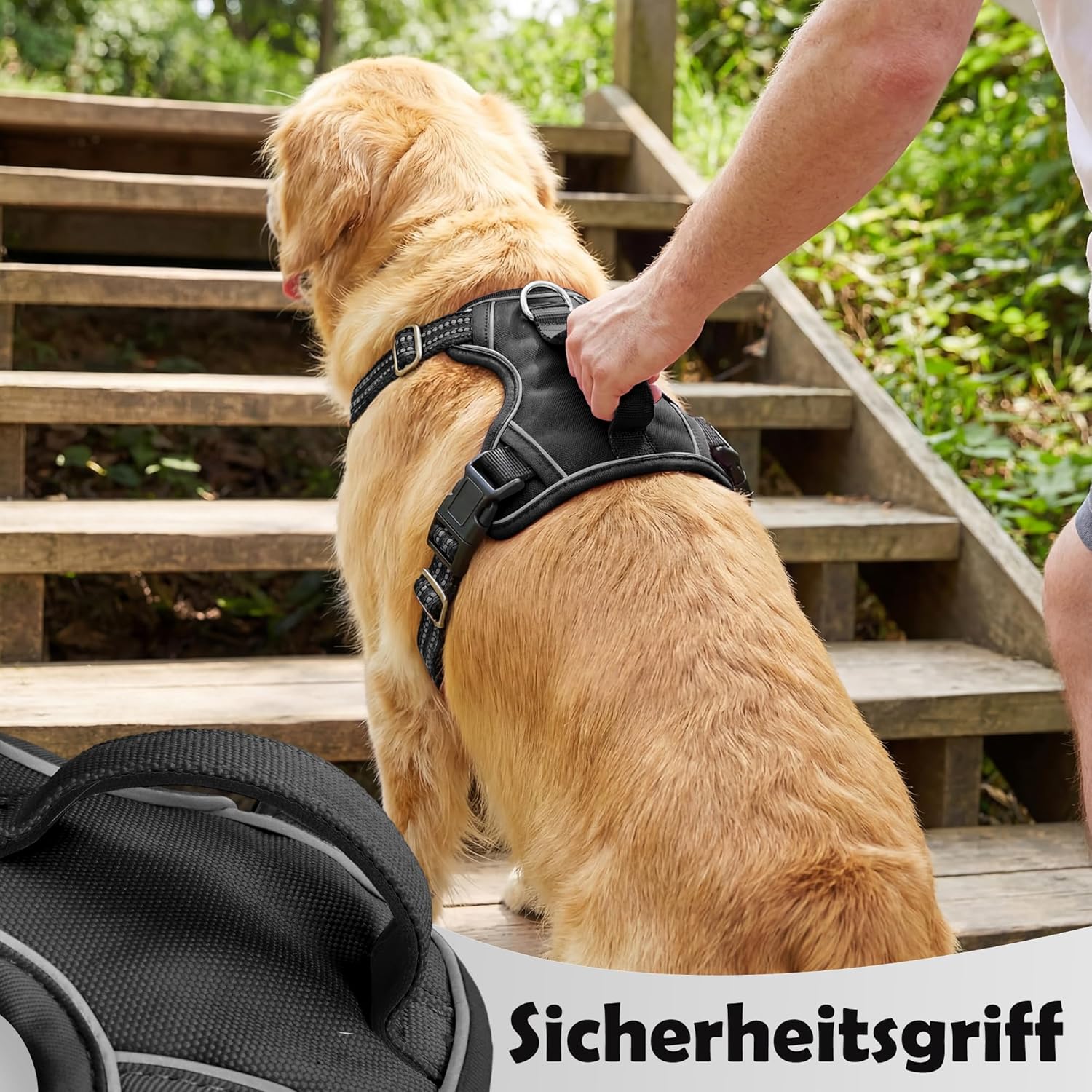 Thumbnail 4 de Funfox Hundegeschirr Grosse Hunde XL